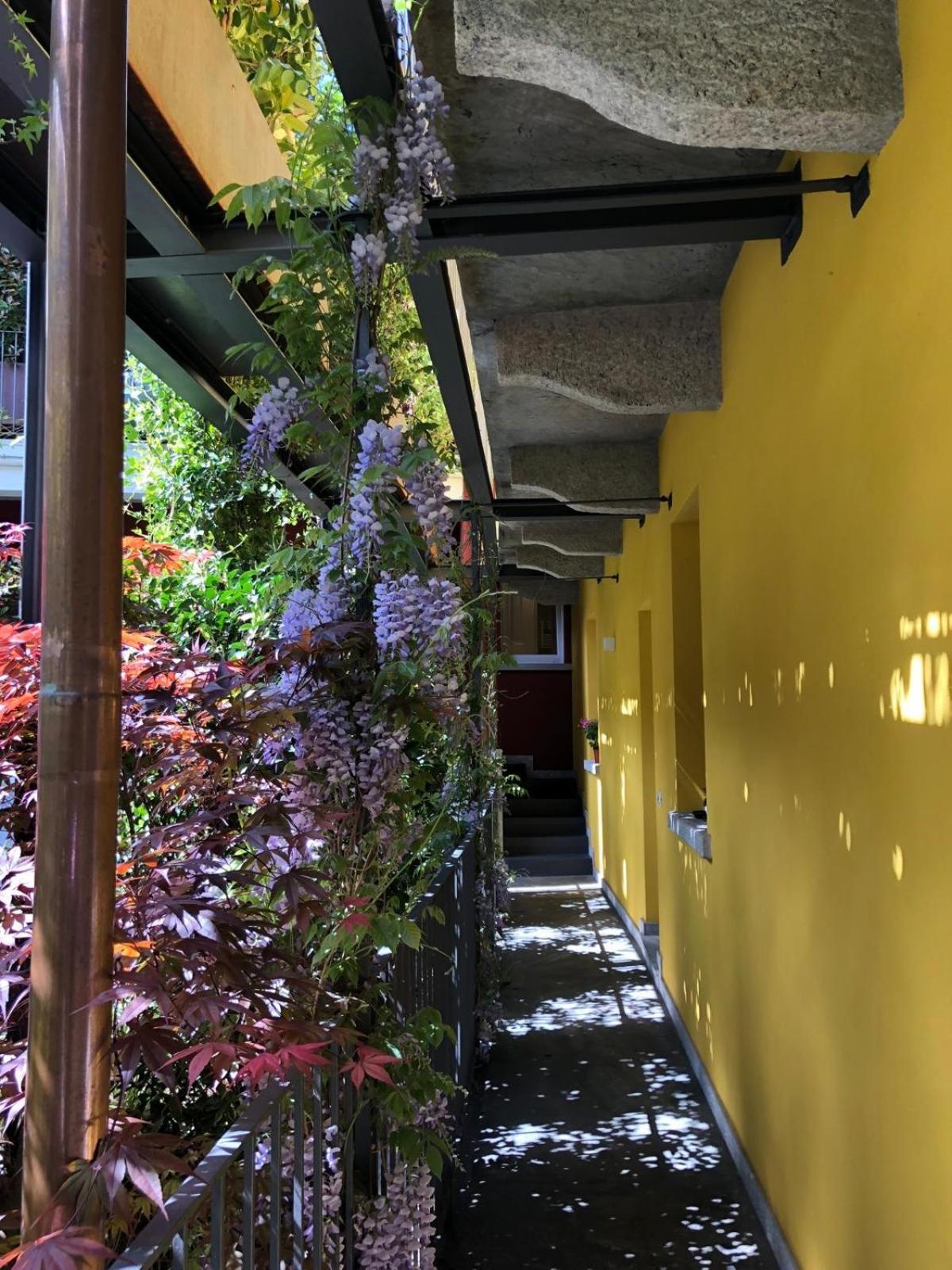 Residence Casa Coppa Appartamento Aster Omegna Exterior photo
