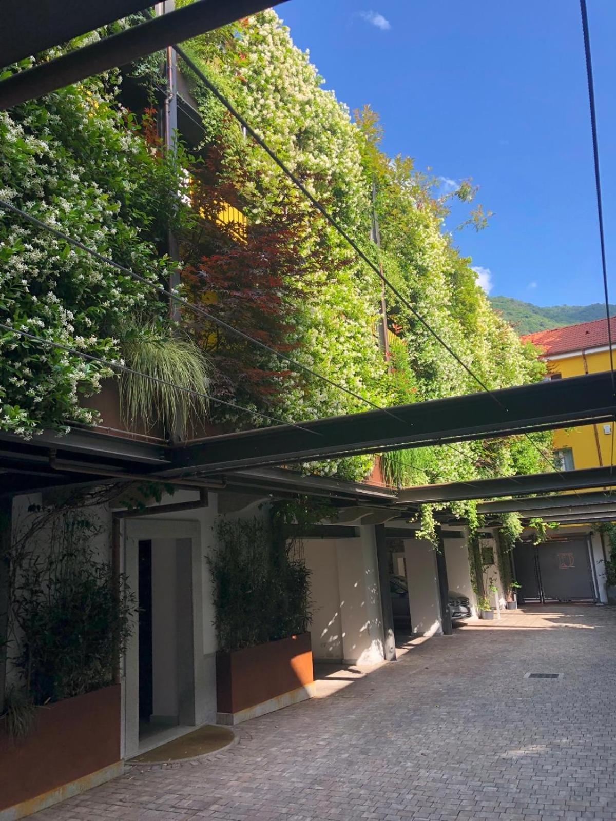 Residence Casa Coppa Appartamento Aster Omegna Exterior photo