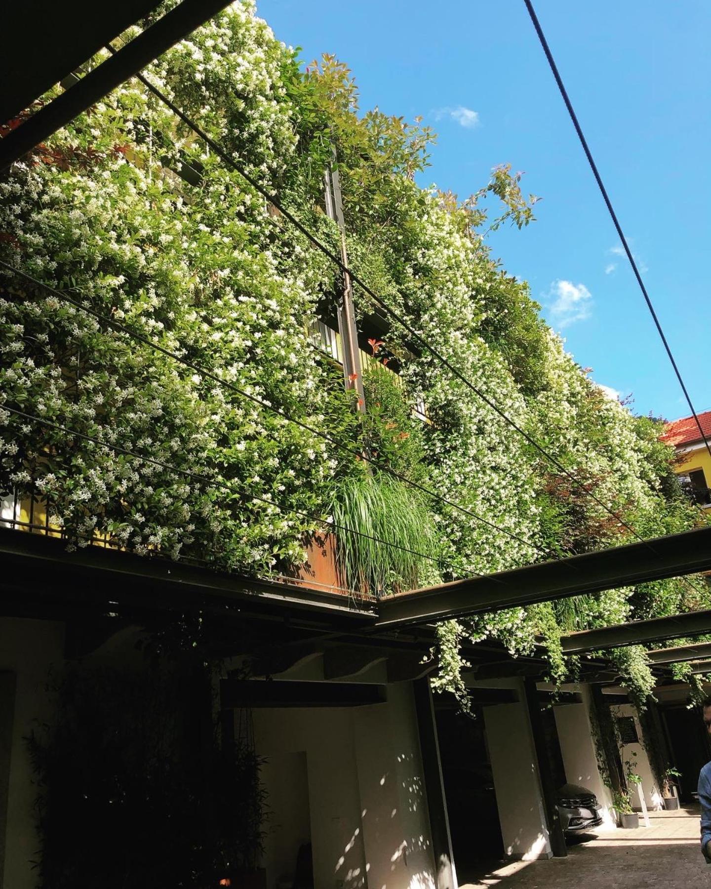 Residence Casa Coppa Appartamento Aster Omegna Exterior photo